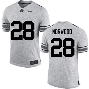Men's Ohio State Buckeyes #28 Joshua Norwood Gray Nike NCAA College Football Jersey August NYP3744LW